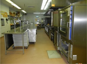 commercial pest control kitchen